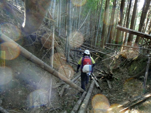 c0179351_09333400.jpg