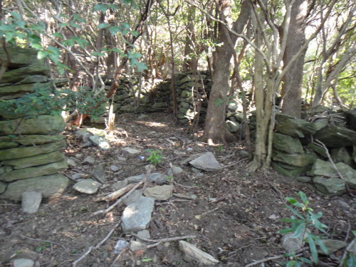 c0179351_09353761.jpg