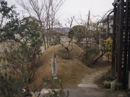 b0246758_20343646.jpg
