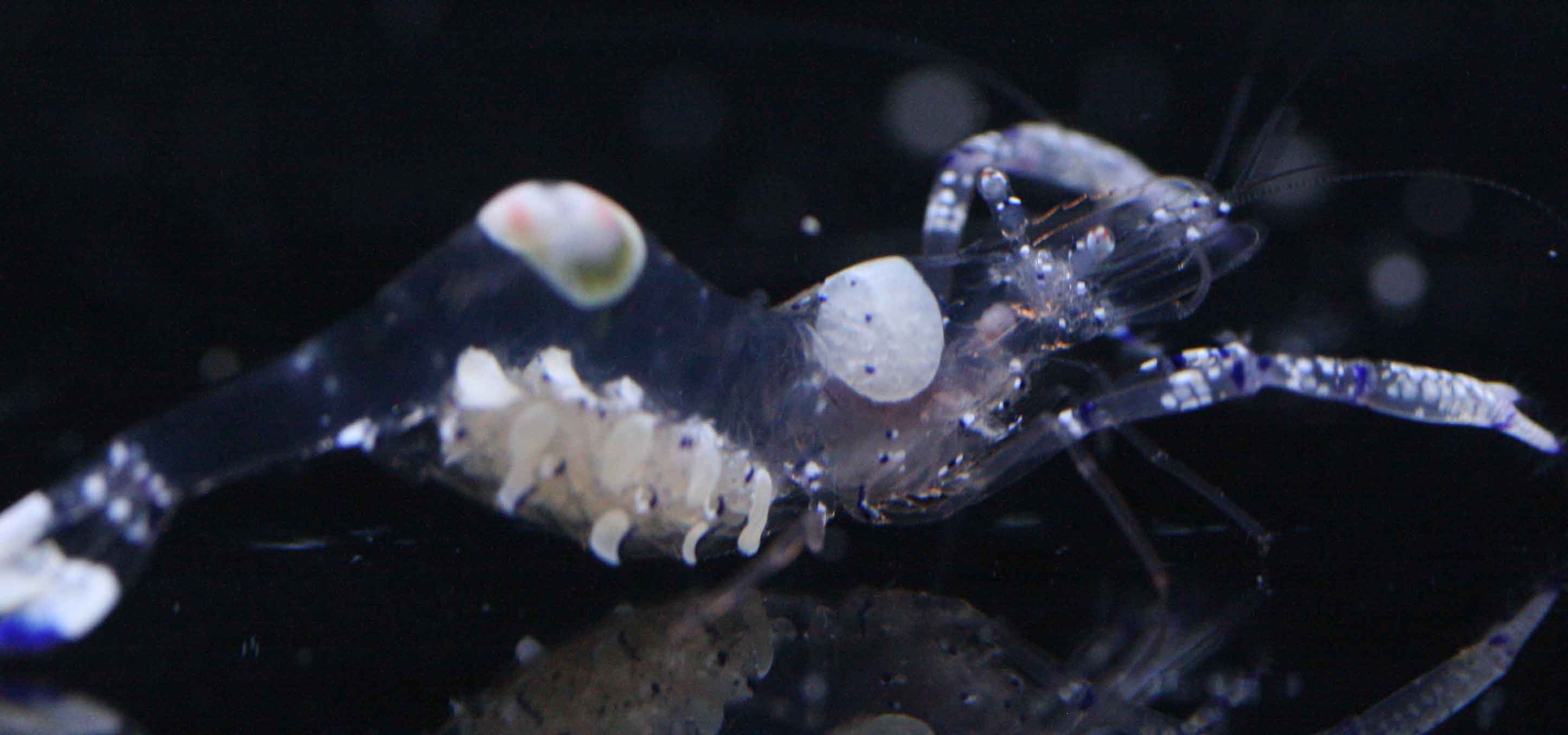 a0162261_12154185.jpg