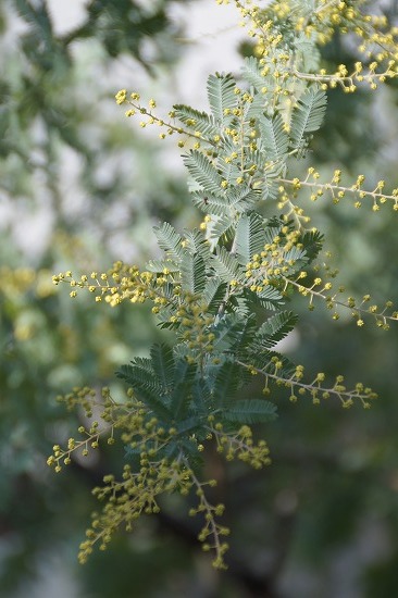 d0083761_20121300.jpg