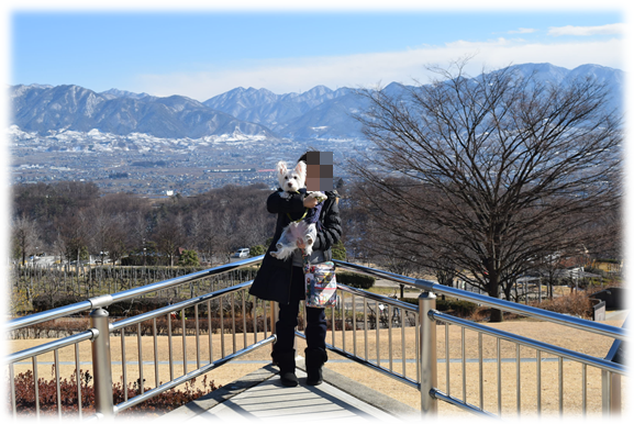b0242873_02050038.png