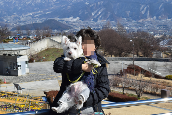 b0242873_02124743.png