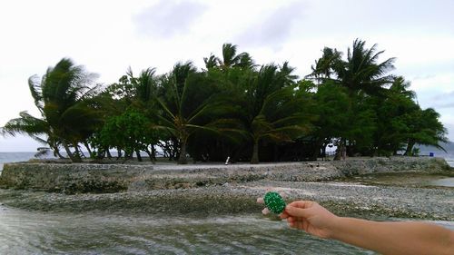 b0337573_11325702.jpg