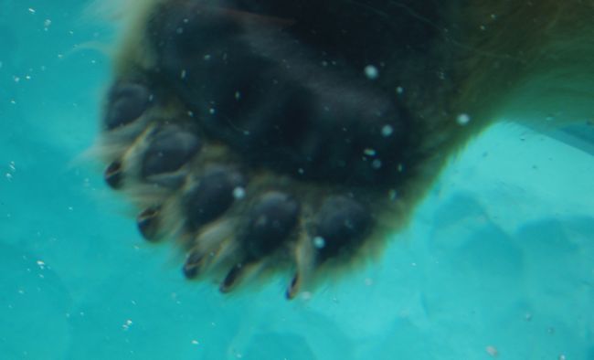 b0014576_23043921.jpg