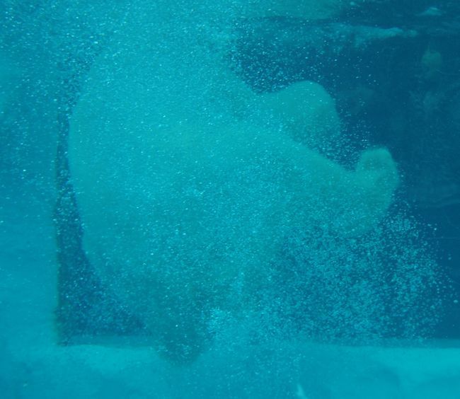 b0014576_23054979.jpg