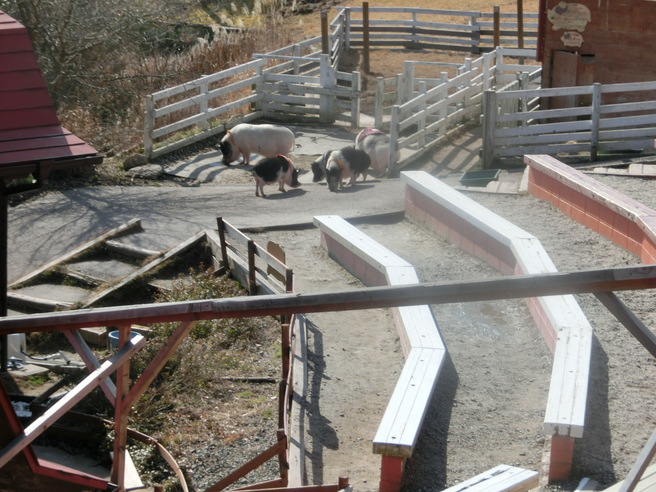 d0073476_1750992.jpg