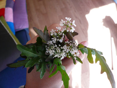 e0110281_22333121.jpg