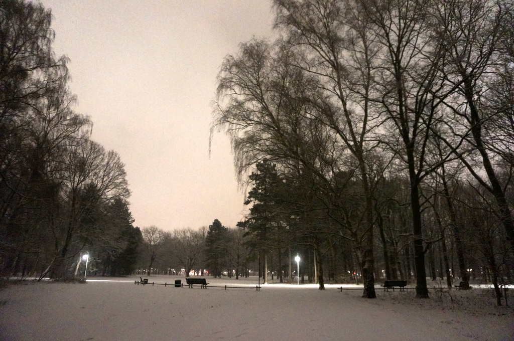 c0180686_04533857.jpg