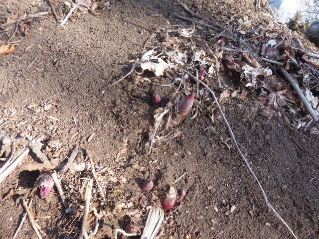 f0357487_22225972.jpg