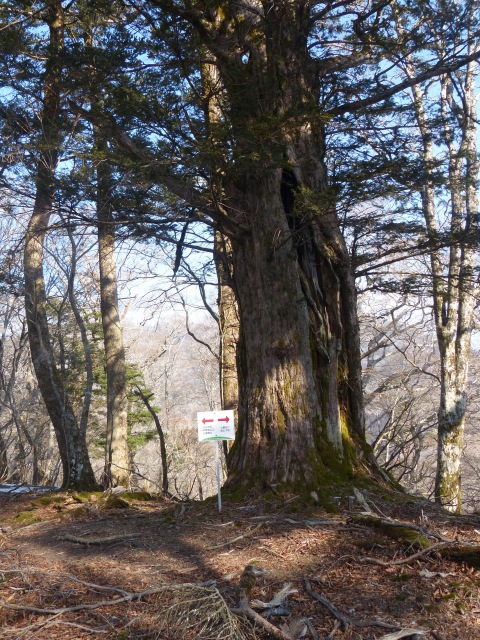 f0357487_22265451.jpg
