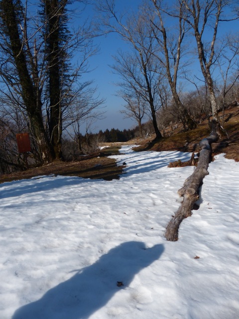 f0357487_22285638.jpg