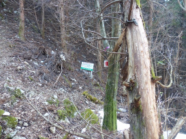 f0357487_22473317.jpg