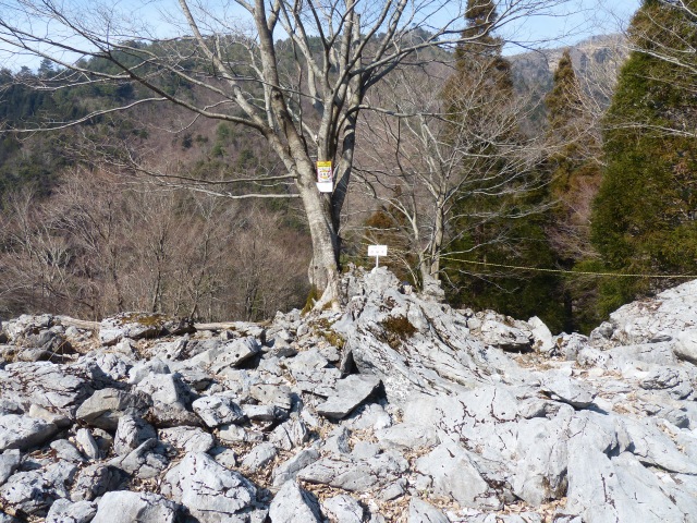 f0357487_22525439.jpg