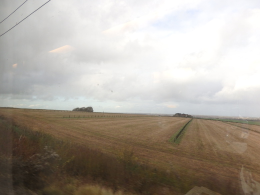 d0257690_22525464.jpg