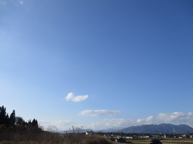 d0333091_5343410.jpg