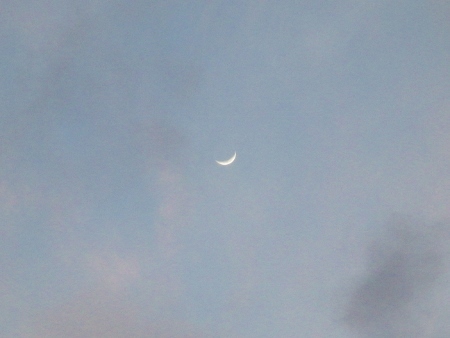 a0125598_21550409.jpg