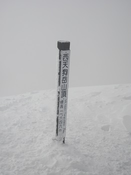 d0032405_11191631.jpg