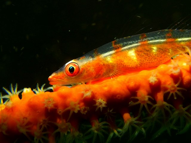 d0175710_2382542.jpg