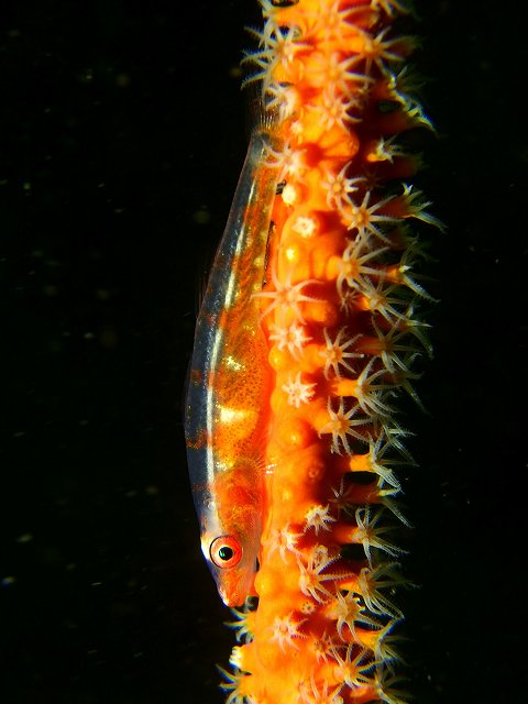 d0175710_239029.jpg