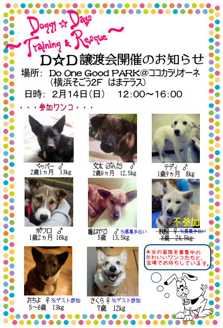 d0317612_10321778.png