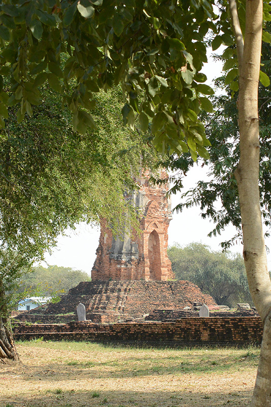 a0165725_21311666.jpg