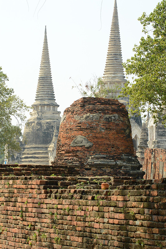 a0165725_21313295.jpg
