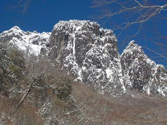 e0038425_208519.jpg
