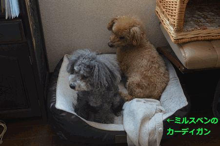 c0136736_218671.gif