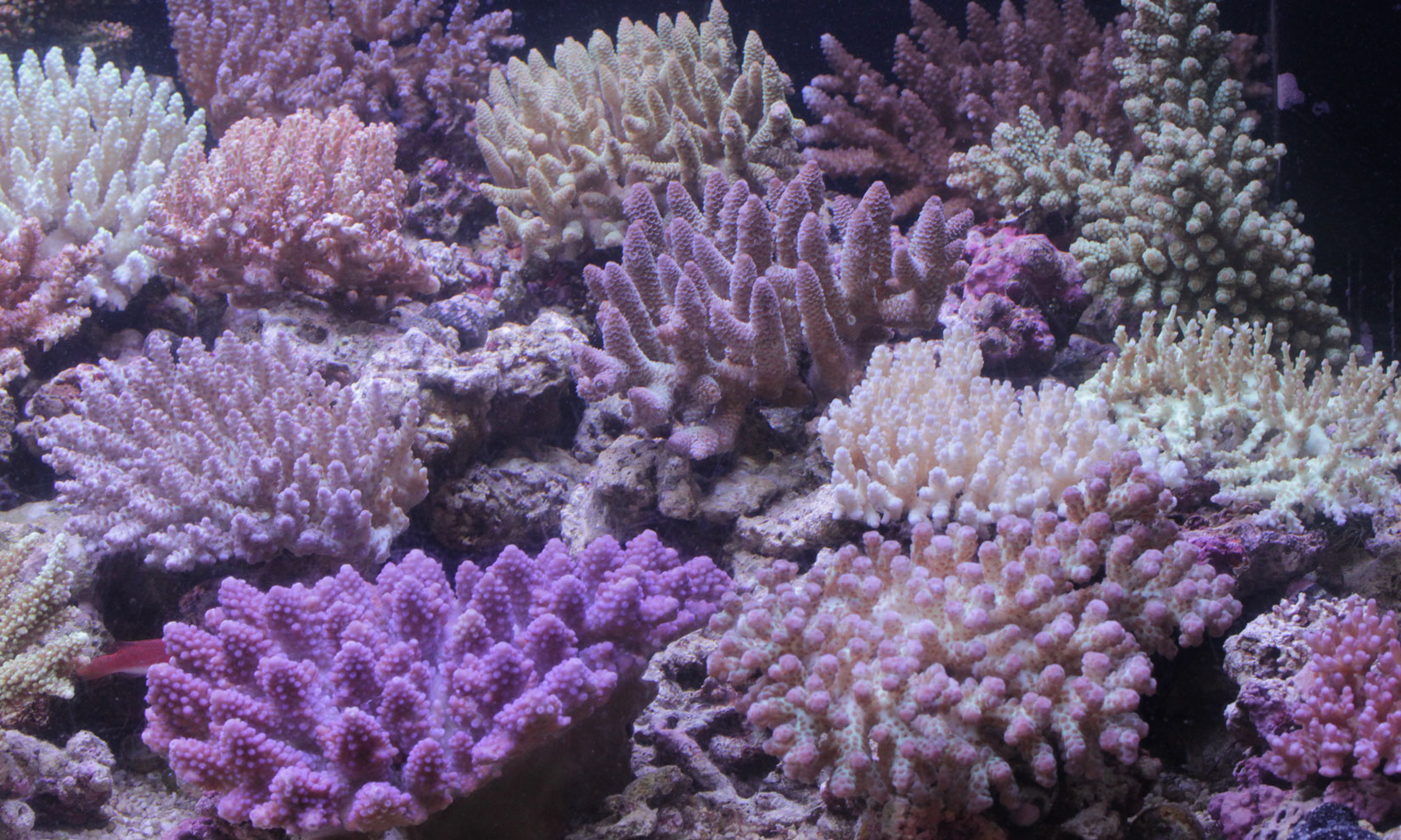 d0221436_21192646.jpg