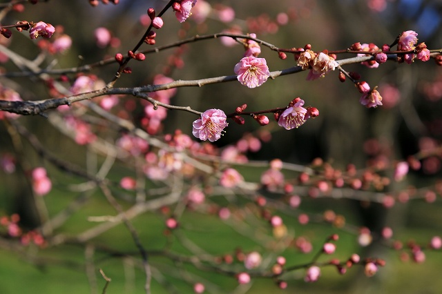 a0242438_2053996.jpg