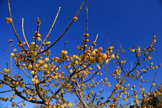 a0242438_206257.jpg