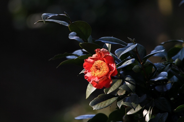 a0242438_2072594.jpg