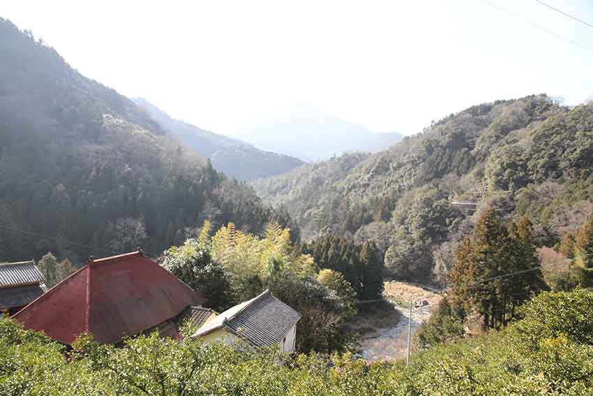 d0058941_21174691.jpg