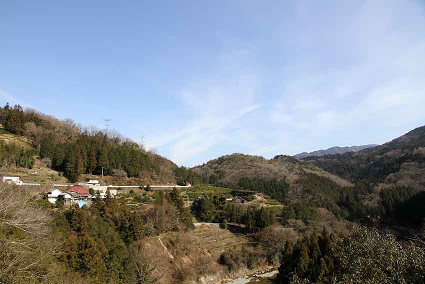 d0058941_21262669.jpg