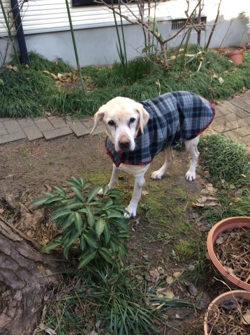 b0340046_23194010.jpeg