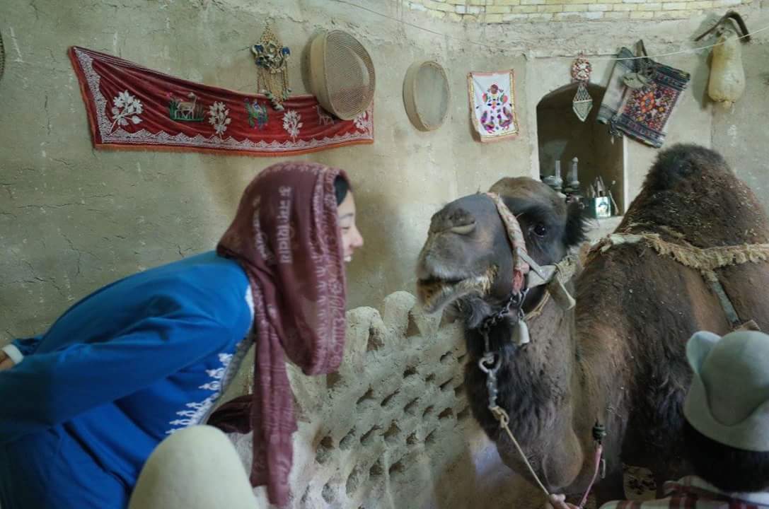 c0351060_14370718.jpg