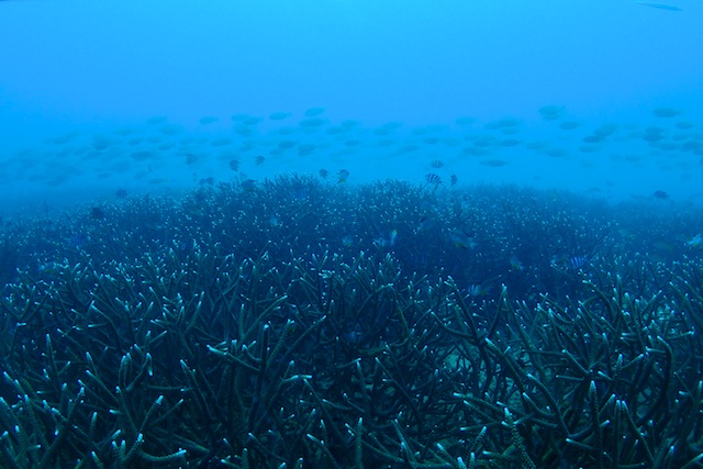 b0062363_17393981.jpg