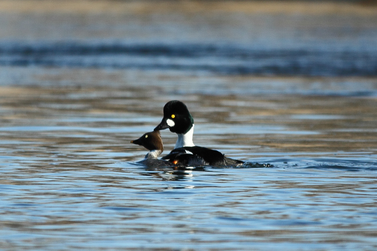 e0249878_23103601.jpg