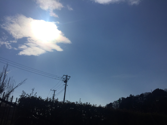 d0135694_19183790.jpg