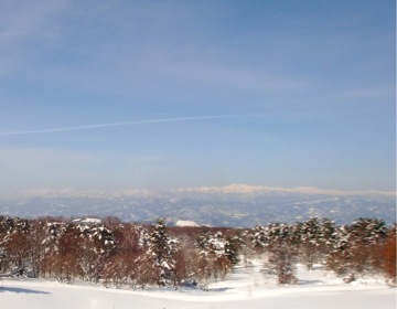 c0151898_1532351.jpg