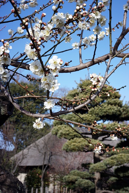 c0187503_1637195.jpg