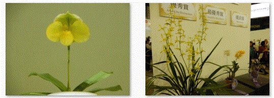 f0231709_22274023.gif