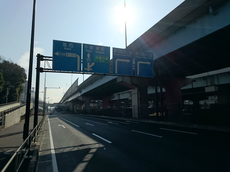 f0100911_2146396.jpg