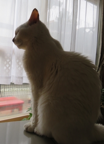 c0013922_13004430.jpg