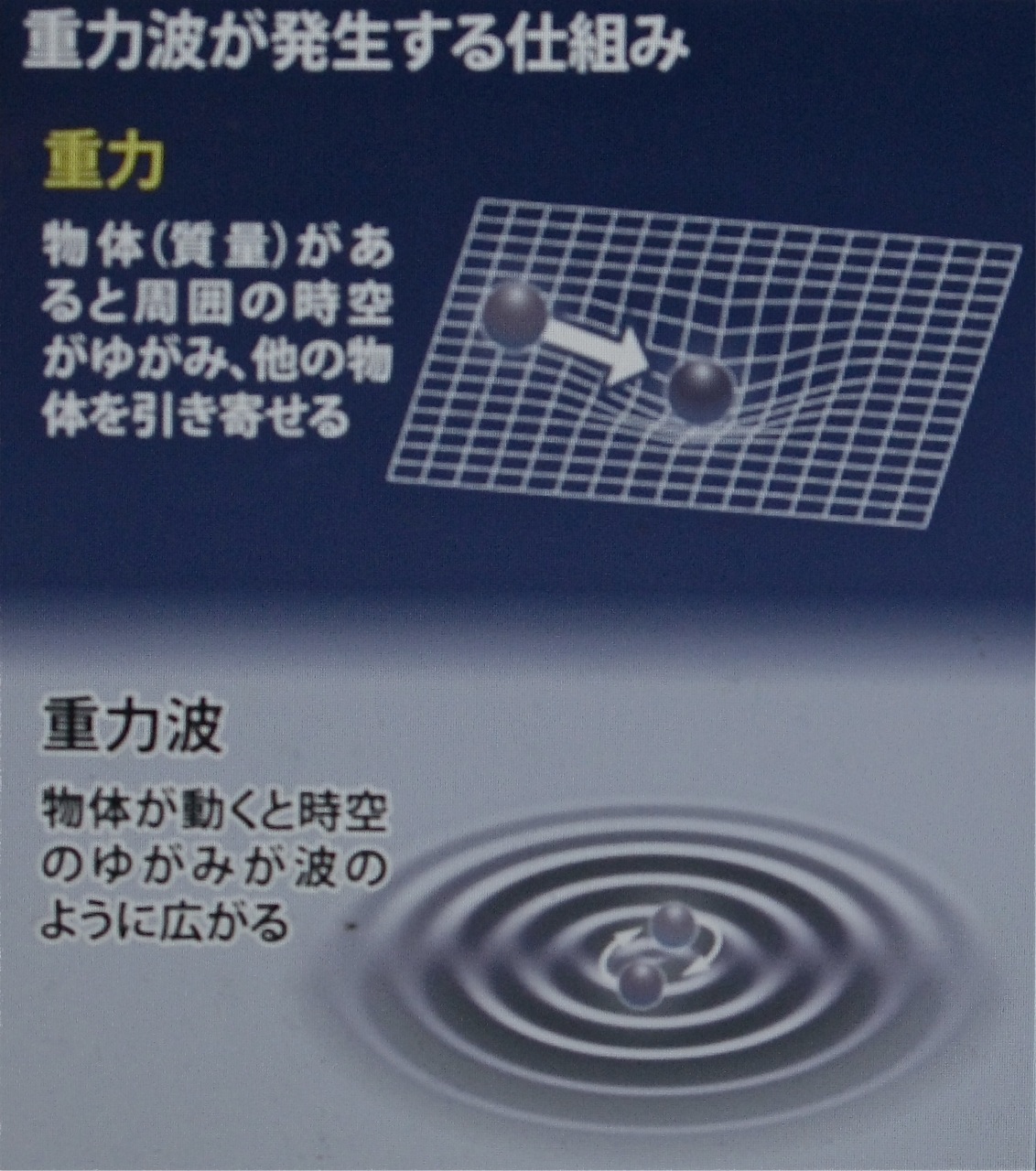 c0035230_154678.jpg