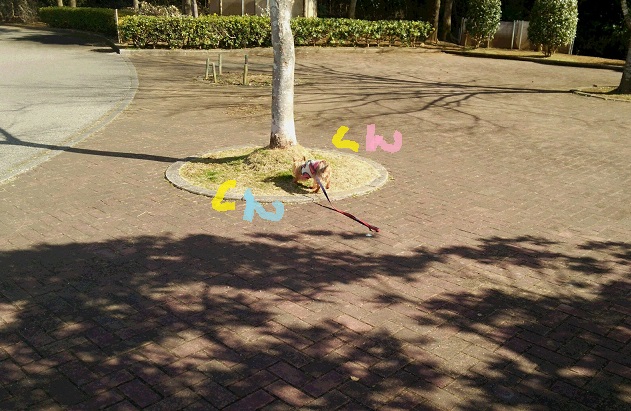 f0002833_18281445.jpg