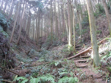 c0077338_17491721.jpg