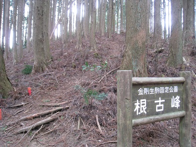 c0077338_17494117.jpg