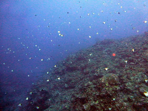 f0014842_14530145.jpg